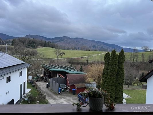 Ausblick