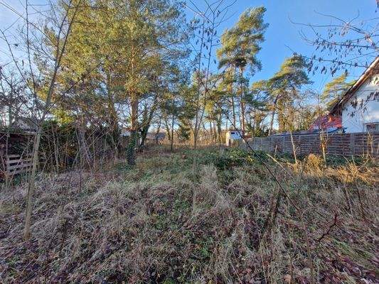 Blick von vorne nach hinten