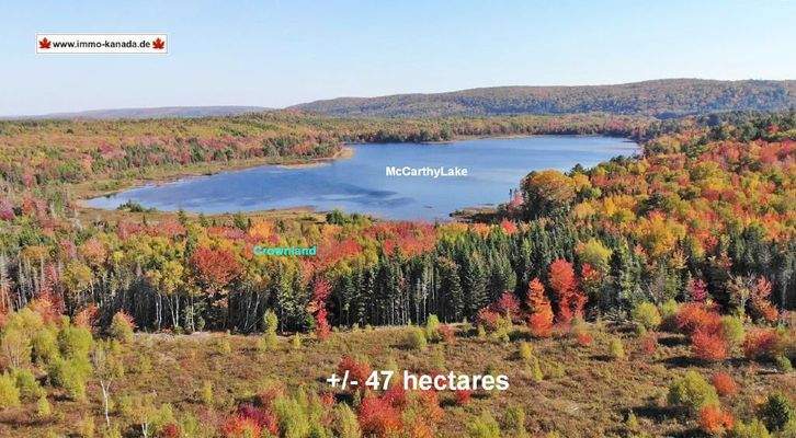 Nova Scotia - Smithfield - Wunderschönes 47-Hektar