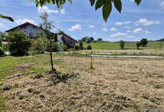 Parzelle 2 Blick Richtung Westen