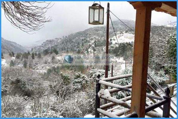 af29084b5bb048a4abbfb65f678d7e06-original