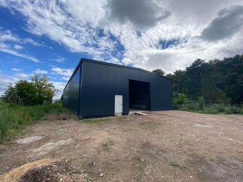 Saarbrücken Halle, Saarbrücken Hallenfläche