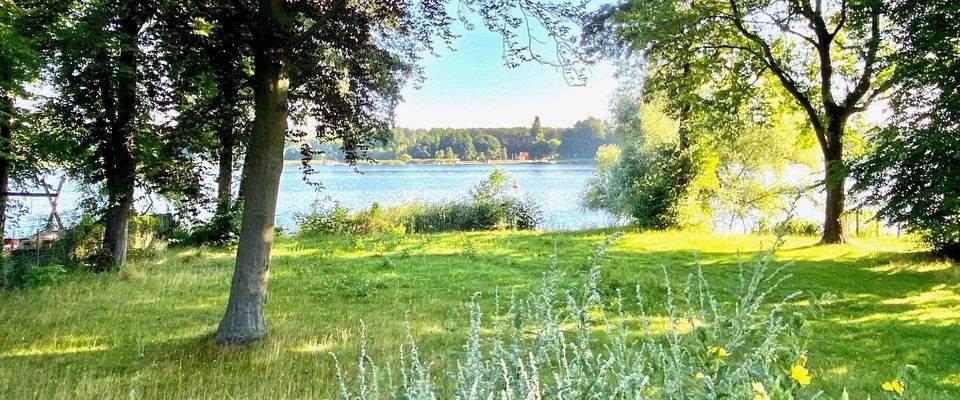 Blick vom Haus zum See