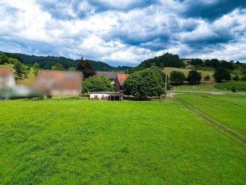 Sexau Grundstücke, Sexau Grundstück kaufen