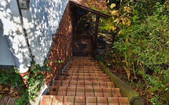 seitlicher Gartenzugang