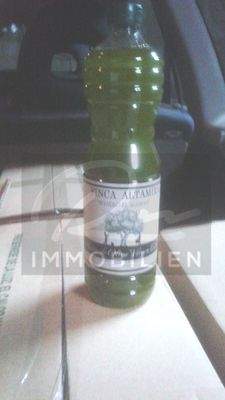 Eigene Herstellung von Olivenoel 