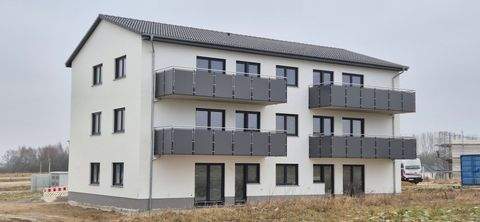 Stralsund Wohnungen, Stralsund Wohnung mieten
