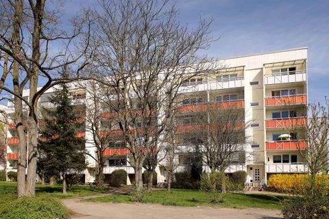 Neubrandenburg Wohnungen, Neubrandenburg Wohnung mieten