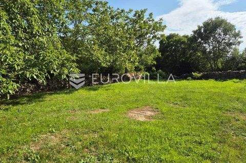 Kanfanar Bauernhöfe, Landwirtschaft, Kanfanar Forstwirtschaft