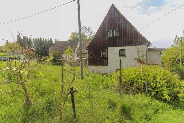 Garten mit Hausrückseite