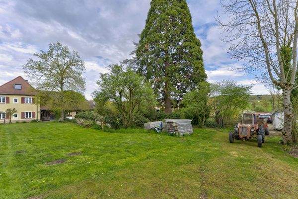 Großzügiger Garten