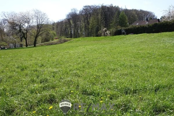 01 Grundstück in Ried am Riederberg