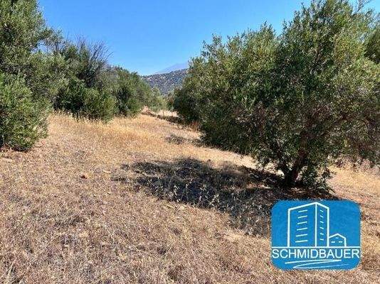 Kreta, Agia Galini: Grundstück in wunderschöner Lage zu verkaufen