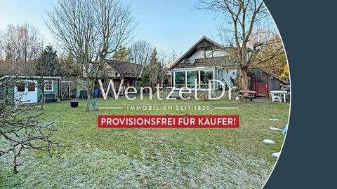 Güster Häuser, Güster Haus kaufen