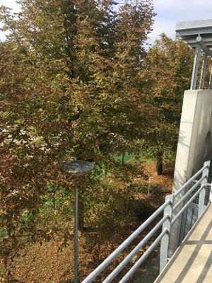 Terrassenblick