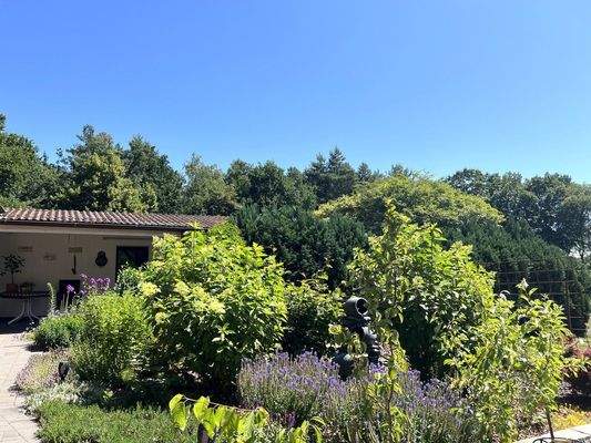 Blick auf Terrasse 1