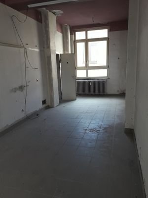 20240423_115830.jpg