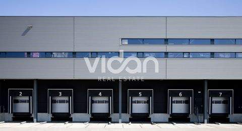 Troisdorf Halle, Troisdorf Hallenfläche