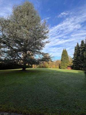 Garten.jpg