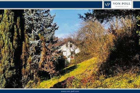 Badenweiler / Schweighof Grundstücke, Badenweiler / Schweighof Grundstück kaufen