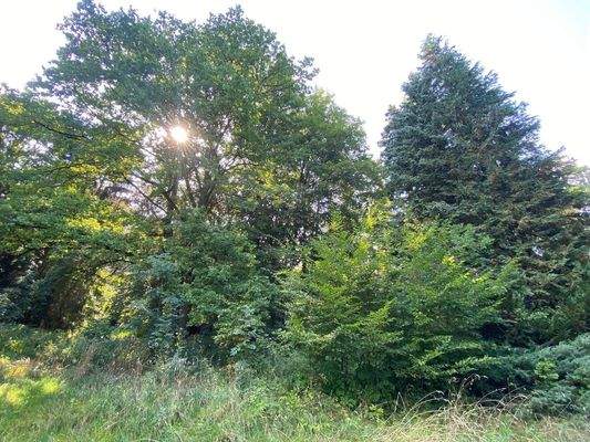 Schlosspark (11).JPG