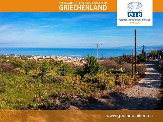 begrüntes Grundstück