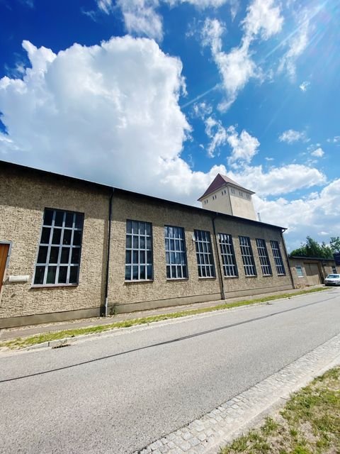 Märkisch Buchholz Häuser, Märkisch Buchholz Haus kaufen