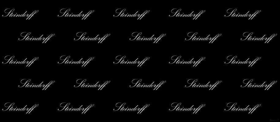 Steindorff-Platzhalter-kleine-Schrift