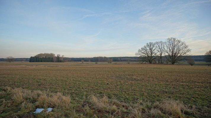 Viel Himmel, Licht,...