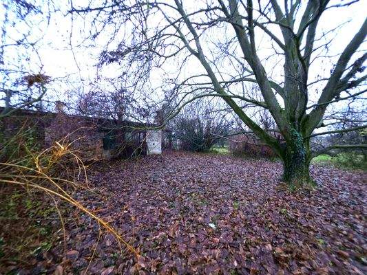 20251205_153622 (1).jpg