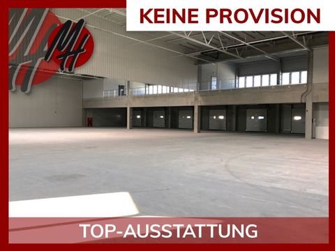 Ingelheim Halle, Ingelheim Hallenfläche