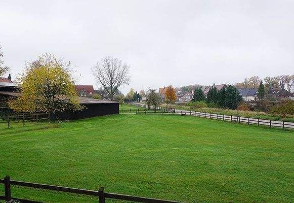 Blick über die Wiesen in Richtung Dorf