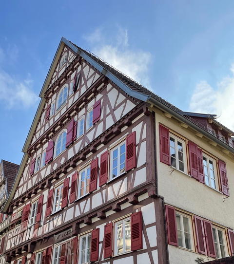 Calw Häuser, Calw Haus kaufen