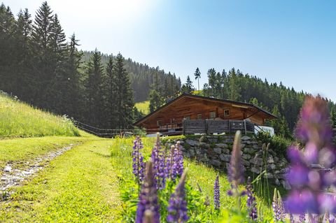 Schladming Häuser, Schladming Haus kaufen