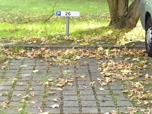 Parkplatz_Beispiel
