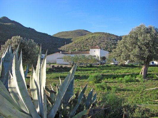 2425 andalusien, murcia, puerto lumbreras, finca zu verkaufen