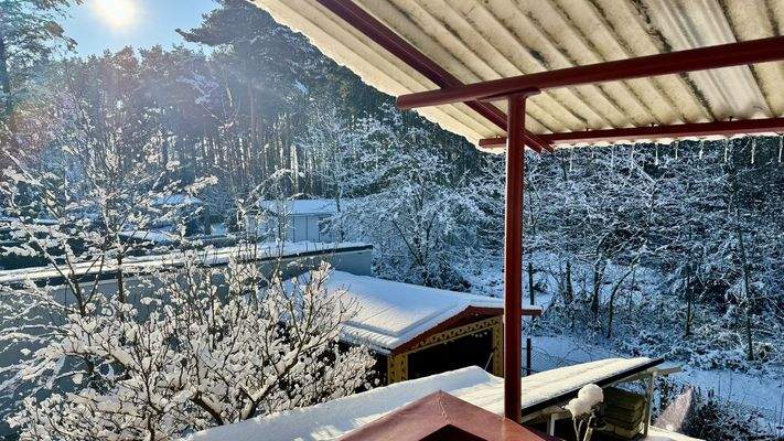 Balkon mit Blick in den Wald im Januar