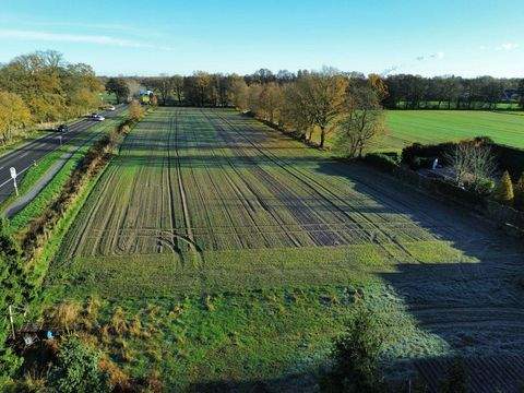 Nordhorn Bauernhöfe, Landwirtschaft, Nordhorn Forstwirtschaft
