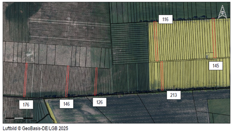 Sieversdorf-Hohenofen Bauernhöfe, Landwirtschaft, Sieversdorf-Hohenofen Forstwirtschaft