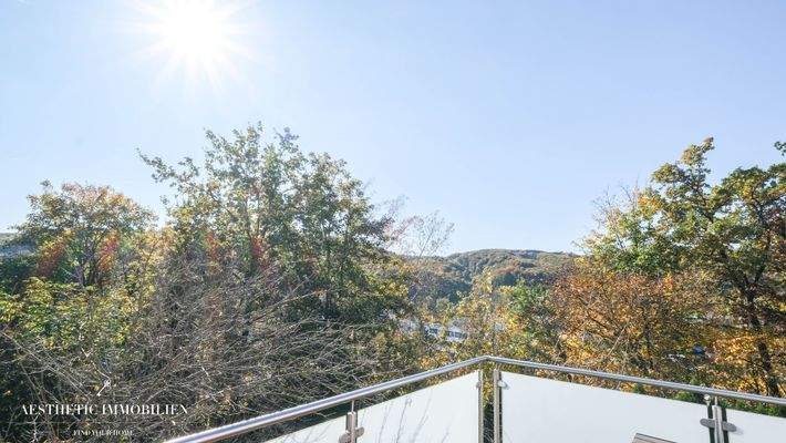 Ausblick Terrasse EG