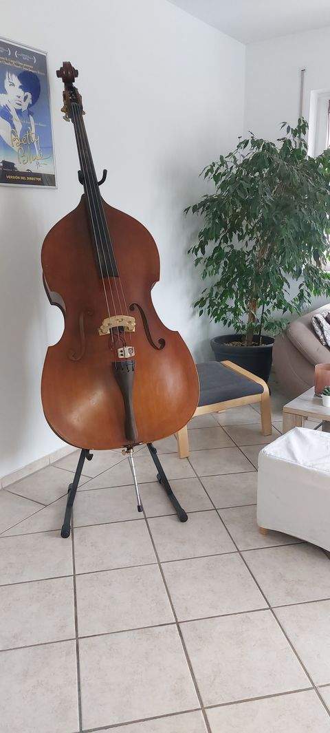 Wörth an der Donau Häuser, Wörth an der Donau Haus mieten 