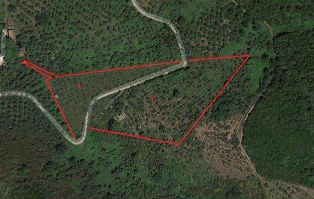 Lageplan Rustico.jpg