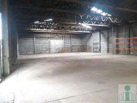 Brand-Erbisdorf Halle, Brand-Erbisdorf Hallenfläche