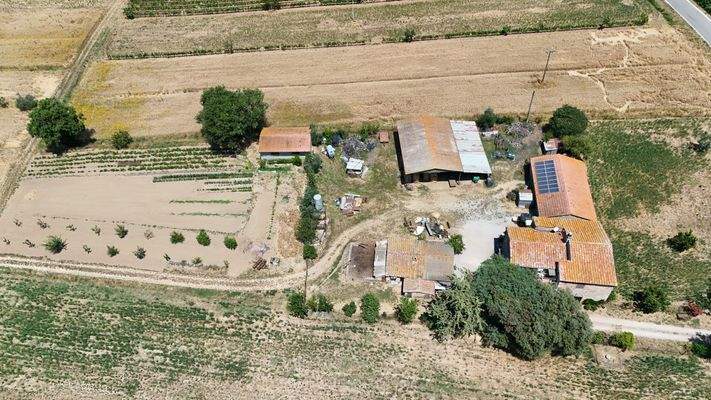 25F44FAC-7D48-41B8-BE90-73A270B7521D_1_102_o