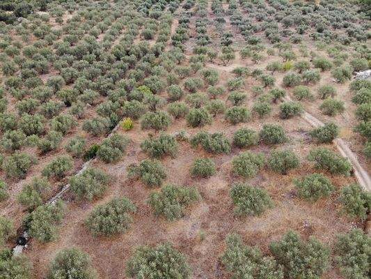 Kreta, Agios Vasilis: Erstklassiges Baugrundstück zum Verkauf mit Meer- und Bergblick