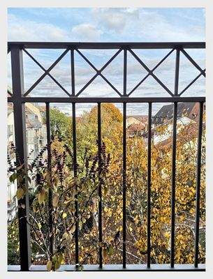 20 Impressionen - Balkongeländer zum Innenhof.jpg