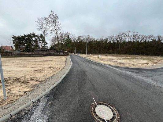 Baugebiet Hauptweg Richtung Wald.jpg