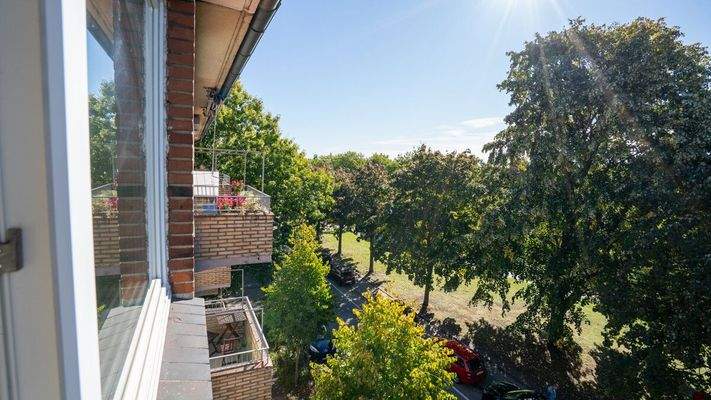 Blick vom Wohnzimmer