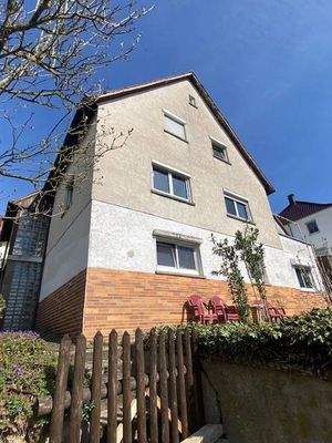 Südseite vom Garten