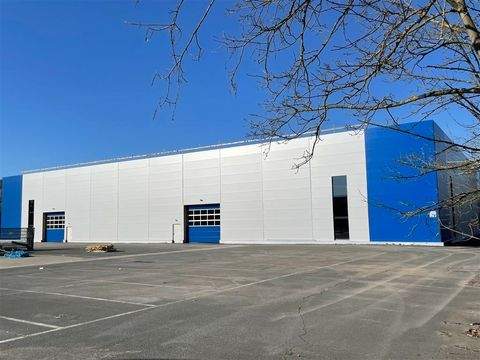 Neustadt b. Coburg Halle, Neustadt b. Coburg Hallenfläche